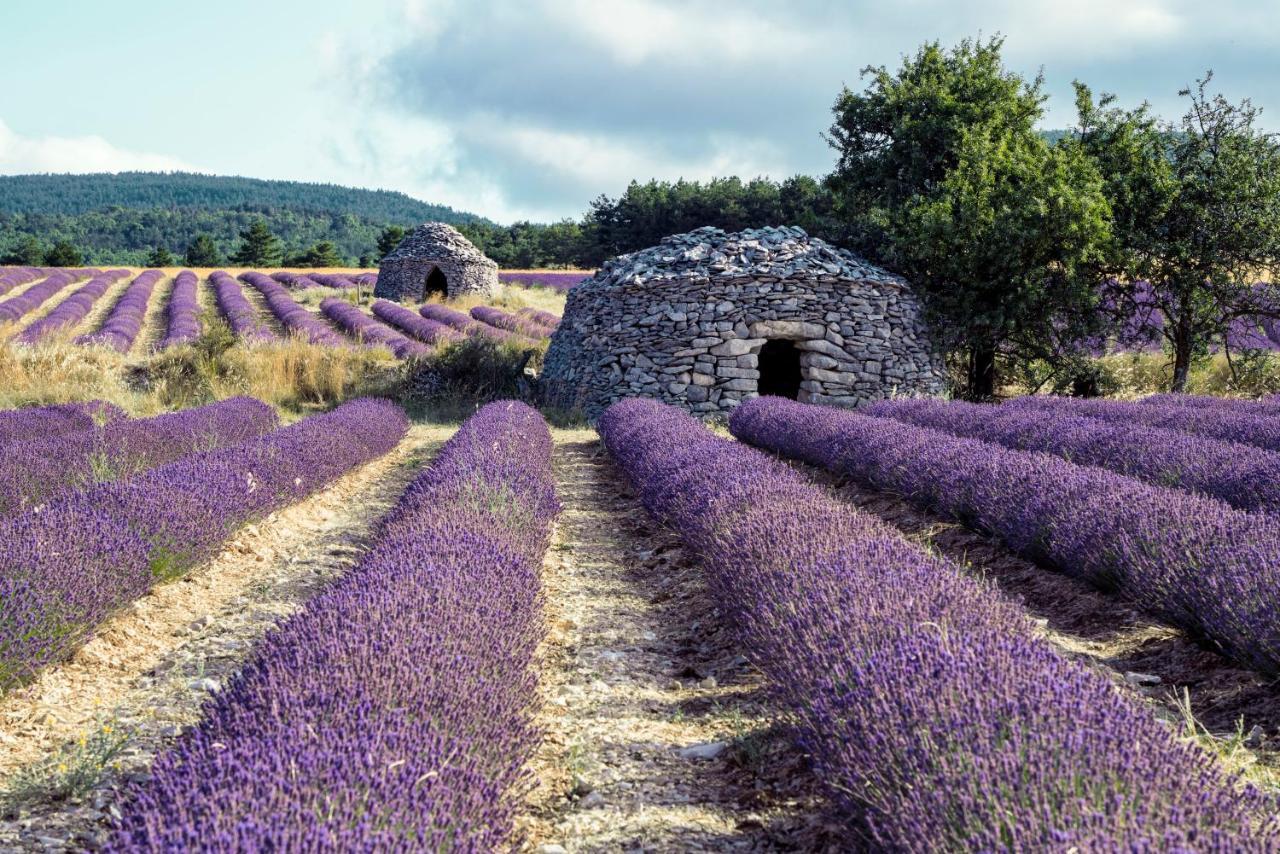 Gite La Bastide De La Loge Au Pied Du Mont Ventoux ソー・ドゥ・ヴォクリューズ エクステリア 写真