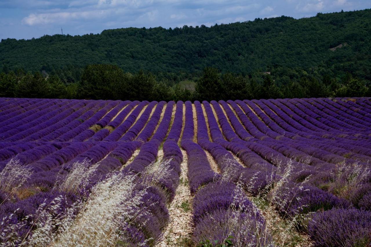 Gite La Bastide De La Loge Au Pied Du Mont Ventoux ソー・ドゥ・ヴォクリューズ エクステリア 写真
